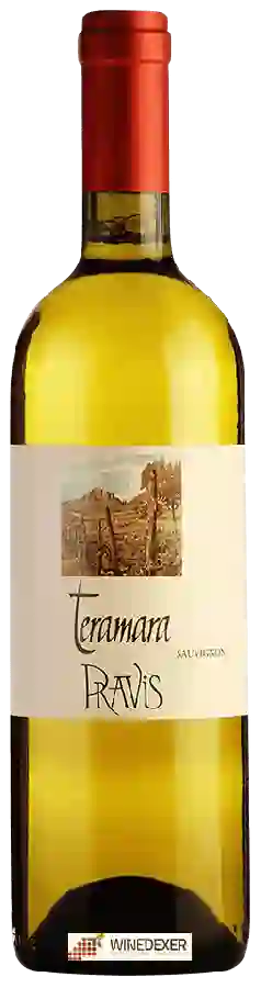 Winery Pravis - Teramara Sauvignon