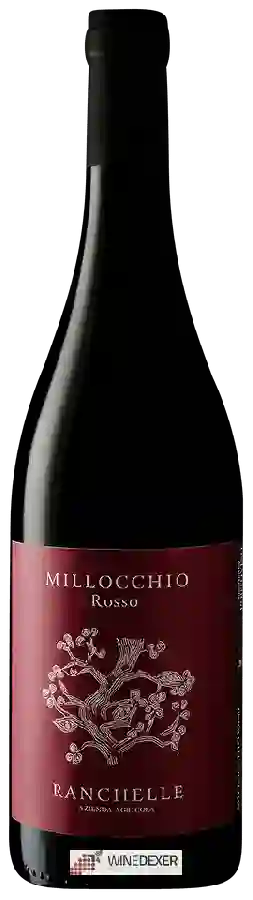 Winery Azienda Agricola Ranchelle - Millocchio Rosso