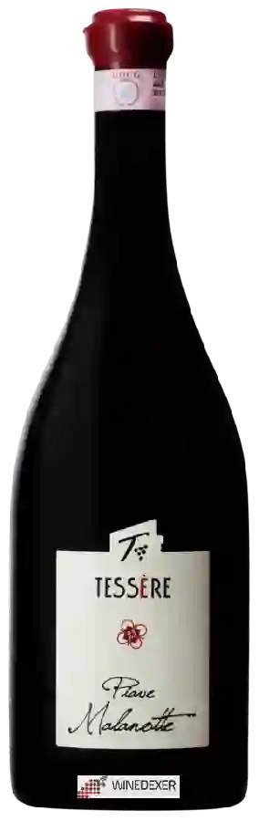 Winery Azienda Agricola Tessère - Piave Malanotte