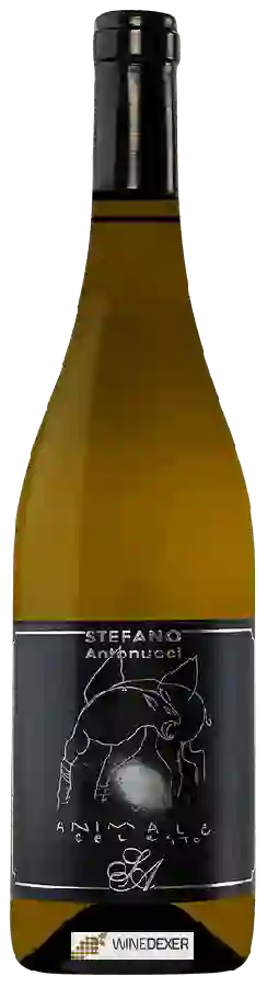 Winery Azienda Santa Barbara - Stefano Antonucci - Animale Celeste