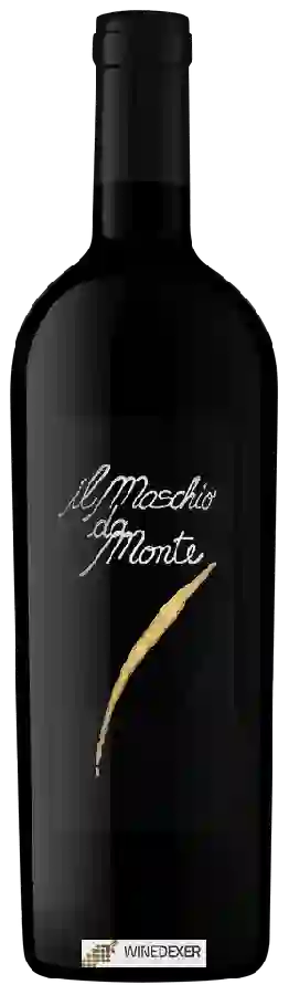 Winery Azienda Santa Barbara - Stefano Antonucci - Il Maschio da Monte Rosso Winery Azienda Santa Barbara - Stefano Antonucci - Il Maschio da Monte Rosso