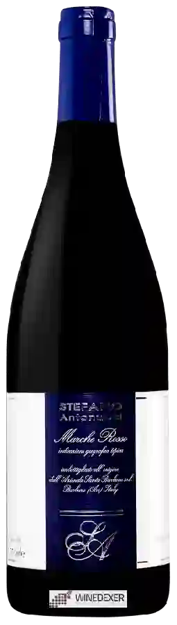 Winery Azienda Santa Barbara - Stefano Antonucci - Marche Rosso Winery Azienda Santa Barbara - Stefano Antonucci - Marche Rosso