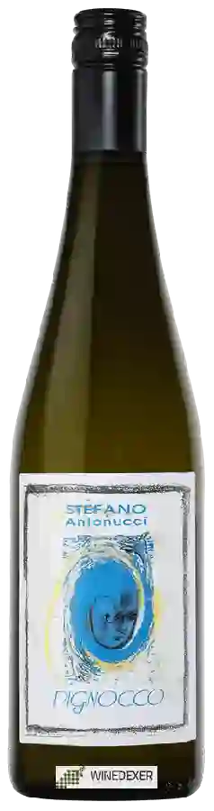 Winery Azienda Santa Barbara - Stefano Antonucci - Pignocco Verdicchio dei Castelli di Jesi Winery Azienda Santa Barbara - Stefano Antonucci - Pignocco Verdicchio dei Castelli di Jesi