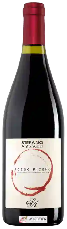 Winery Azienda Santa Barbara - Stefano Antonucci - Rosso Piceno