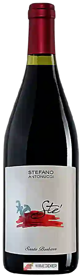 Winery Azienda Santa Barbara - Stefano Antonucci - Sté Rosso Piceno