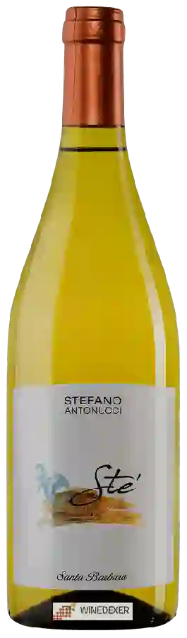 Winery Azienda Santa Barbara - Stefano Antonucci - Stè Verdicchio dei Castelli di Jesi