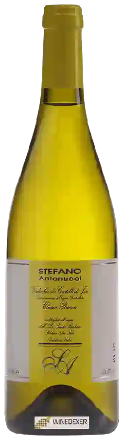 Winery Azienda Santa Barbara - Stefano Antonucci - Verdicchio dei Castelli di Jesi Classico Superiore