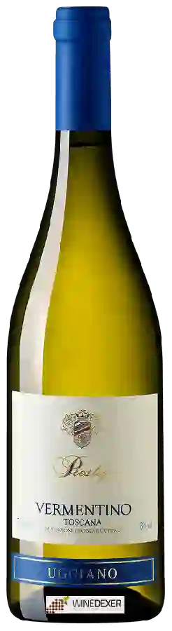 Winery Uggiano - Prestige Vermentino Toscana