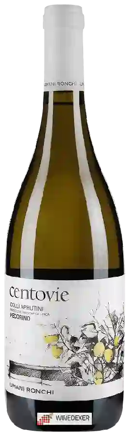 Winery Umani Ronchi - Centovie Pecorino Winery Umani Ronchi - Centovie Pecorino
