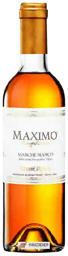 Winery Umani Ronchi - Maximo Marche Bianco