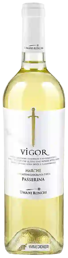 Winery Umani Ronchi - Vigor Passerina Marche