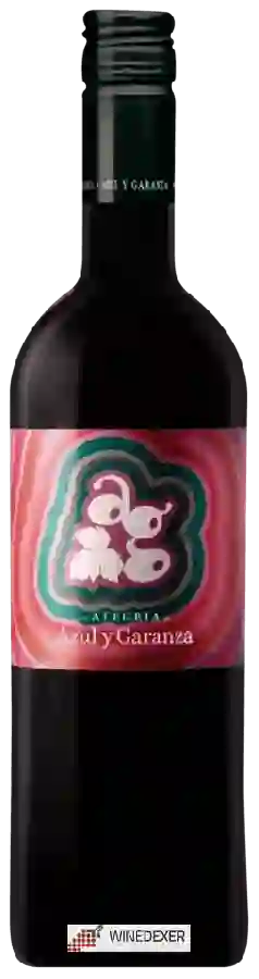 Winery Azul y Garanza - Alegría Winery Azul y Garanza - Alegría