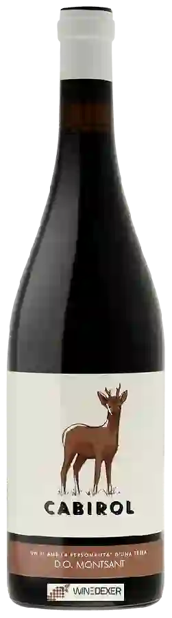 Winery Azul y Garanza - Cabirol Winery Azul y Garanza - Cabirol