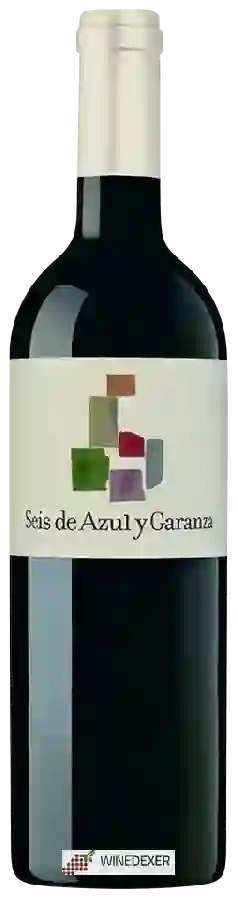 Winery Azul y Garanza - Seis Winery Azul y Garanza - Seis