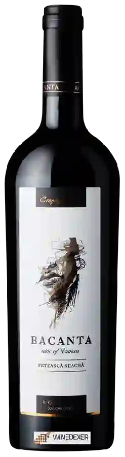 Winery Bacanta - Fetească Neagră