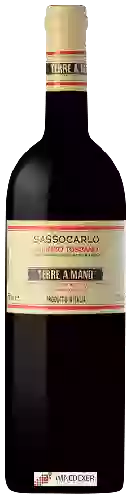 Winery Bacchereto - Terre a Mano Sassocarlo Bianco