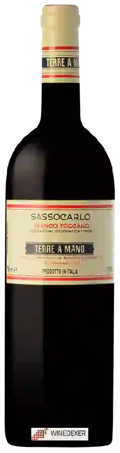 Winery Bacchereto - Terre a Mano Sassocarlo Bianco Winery Bacchereto - Terre a Mano Sassocarlo Bianco