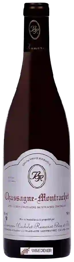 Domaine Bachelet-Ramonet - Chassagne-Montrachet Rouge