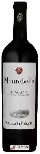Winery Coltibuono - Montebello Toscana
