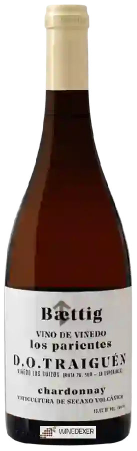 Winery Baettig - Los Parientes Chardonnay