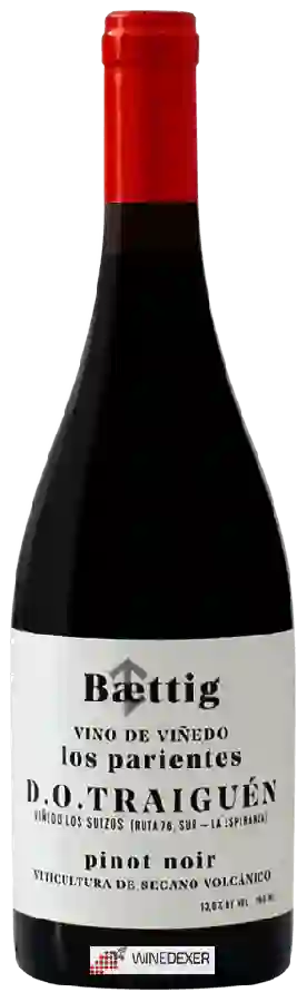 Winery Baettig - Los Parientes Pinot Noir