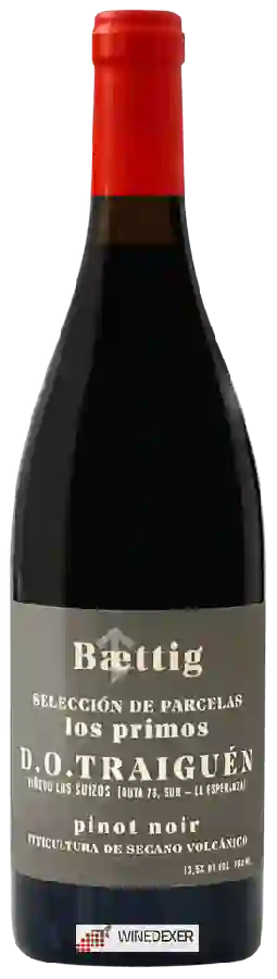 Winery Baettig - Selección de Parcelas Los Primos Pinot Noir