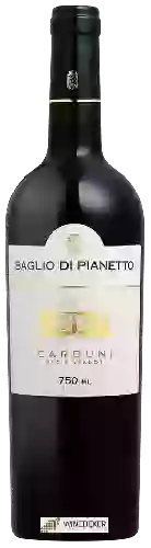 Winery Baglio di Pianetto - Carduni Petit Verdot