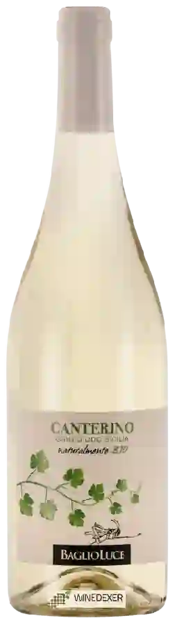Winery Baglio Luce - Canterino Grillo Winery Baglio Luce - Canterino Grillo