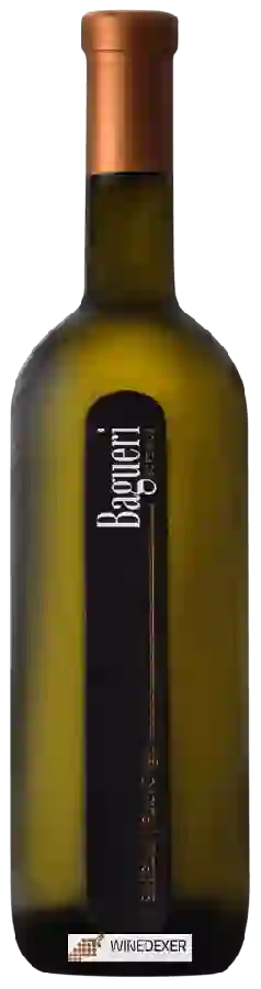 Winery Bagueri - Pinot Grigio Winery Bagueri - Pinot Grigio