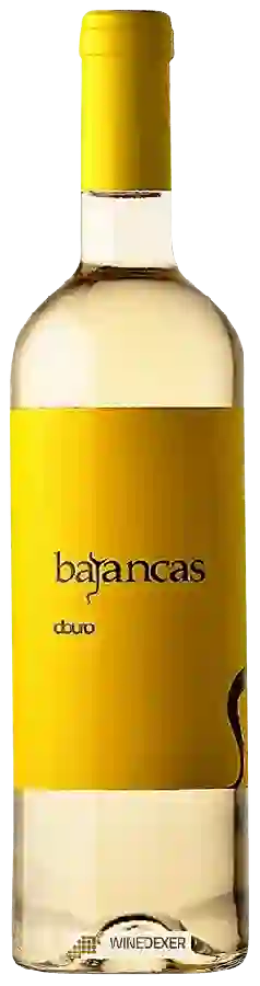 Winery Bajancas - Branco