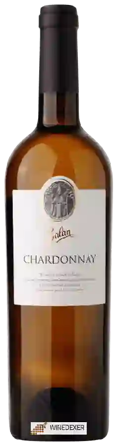 Winery Balan - Chardonnay