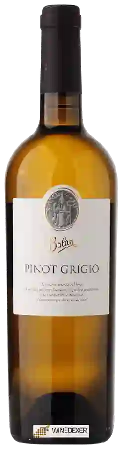 Winery Balan - Pinot Grigio