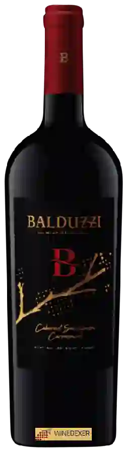 Winery Balduzzi - Balduzzi B Cabernet Sauvignon - Carménère Winery Balduzzi - Balduzzi B Cabernet Sauvignon - Carménère