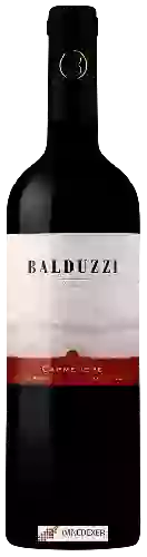 Winery Balduzzi - Carmen&egravere