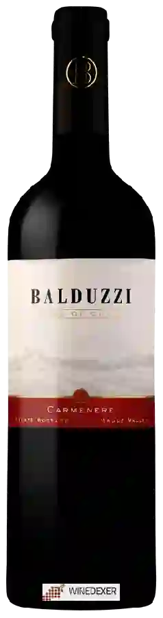 Winery Balduzzi - Carmen&egravere