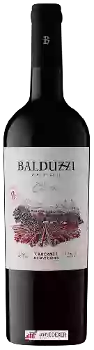 Winery Balduzzi - Classic Cabernet Sauvignon