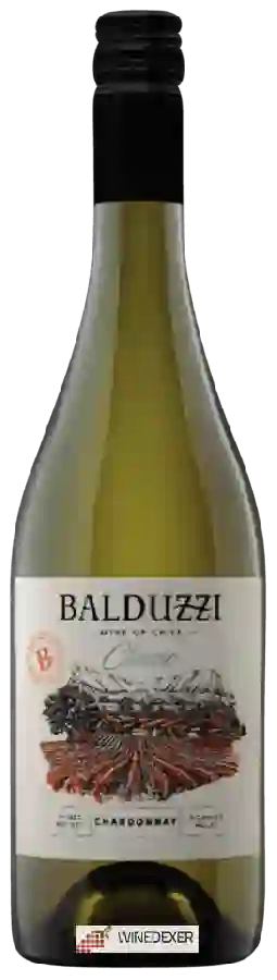 Winery Balduzzi - Classic Chardonnay Winery Balduzzi - Classic Chardonnay