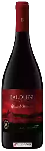 Winery Balduzzi - Grand Reserve Syrah