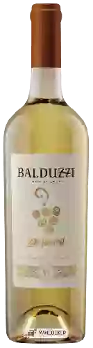 Winery Balduzzi - Late Harvest