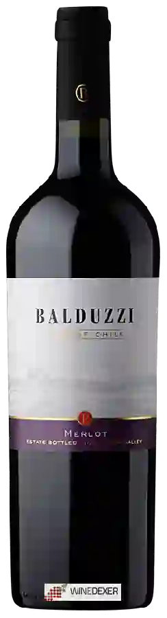 Winery Balduzzi - Merlot Winery Balduzzi - Merlot