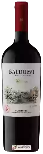 Winery Balduzzi - Reserva Carmen&egravere