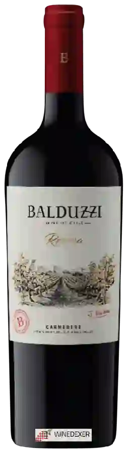 Winery Balduzzi - Reserva Carmen&egravere