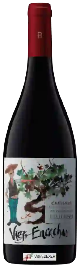 Winery Balduzzi - Viejo Encachao Grand Reserve Carignan Winery Balduzzi - Viejo Encachao Grand Reserve Carignan