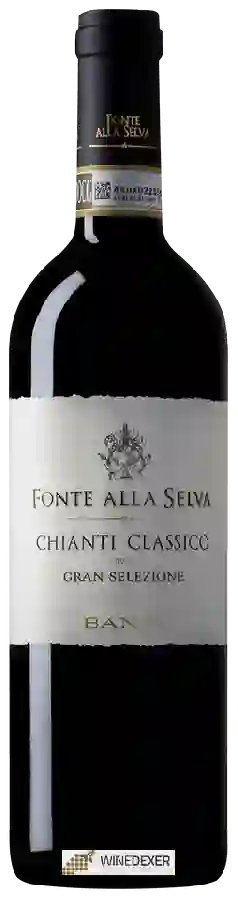 Winery Banfi - Fonte Alla Selva Chianti Classico Gran Selezione Winery Banfi - Fonte Alla Selva Chianti Classico Gran Selezione