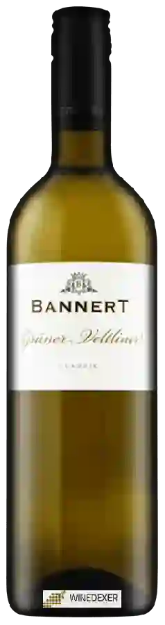 Winery Bannert - Classic Grüner Veltliner