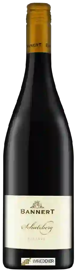 Winery Bannert - Reserve Schatzberg