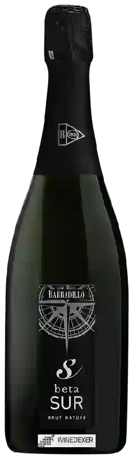 Winery Barbadillo - Beta Sur Brut Nature