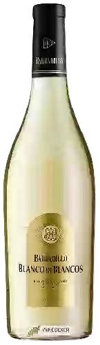 Winery Barbadillo - Blanco de Blancos