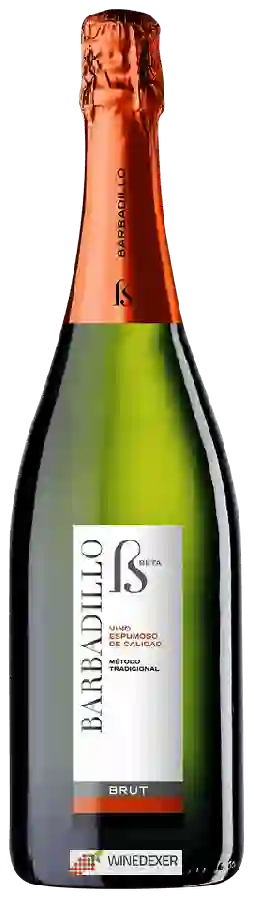 Winery Barbadillo - Brut Beta Winery Barbadillo - Brut Beta