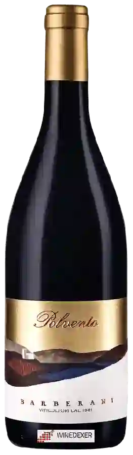 Winery Barberani - Polvento Villa Monticello Winery Barberani - Polvento Villa Monticello